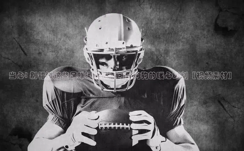 欧陆平台注册开户顺丰当心! 别错过这些足球运动员与可爱狗狗的暖心时刻【视频素材】