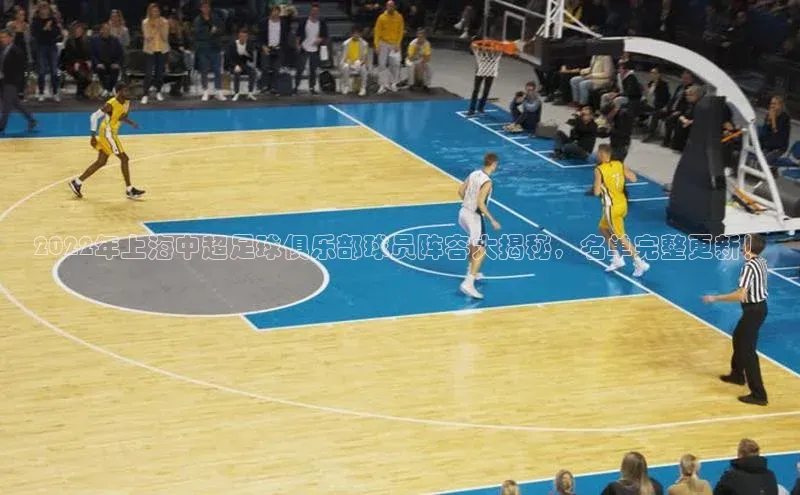 欧陆娱乐平台登录网易2022年上海中超足球俱乐部球员阵容大揭秘，名单完整更新！