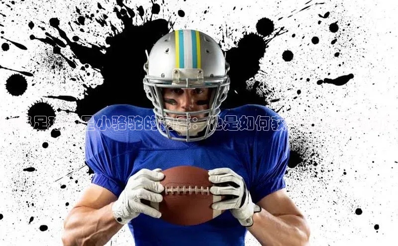 欧陆娱乐怎么注册账号百度搜索资源平台揭秘足球明星小骆驼的内幕：他是如何获得这个绰号的？