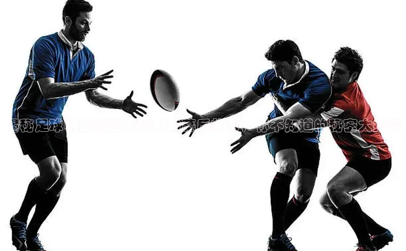 欧陆平台注册开户百度学术揭秘足球明星蒋光太媳妇的幕后故事，你不知道的秘密大揭露