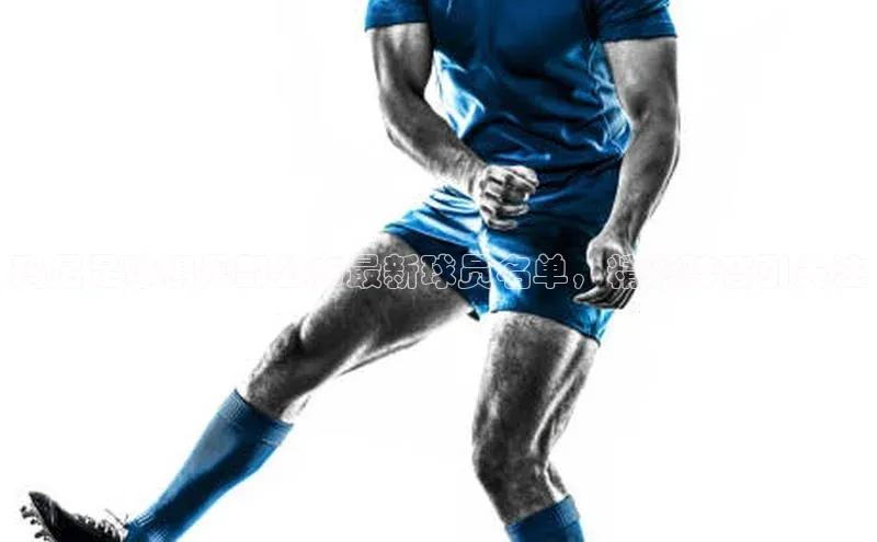 欧陆在线登录颐驰 06玛尼足球俱乐部公布最新球员名单，精彩阵容引关注