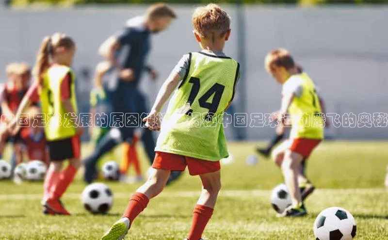 欧陆娱乐app下载百度百聘中国足球发展的原因解析：揭秘中国足球运动腾飞的奥秘