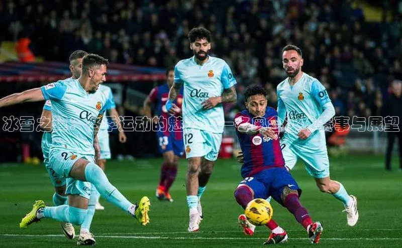 冰雪之翼：冬季运动的魅力——冬奥会冰球赛事与展望