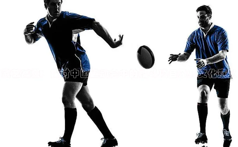 武艺高强：探讨中国运动会中的格斗项目及其文化意义