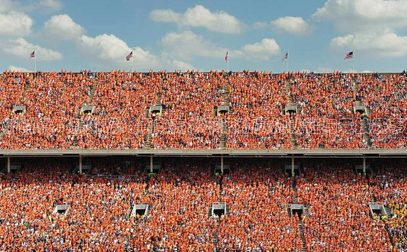 新时代·新挑战：面向高水平运动员的认证与竞技赛事