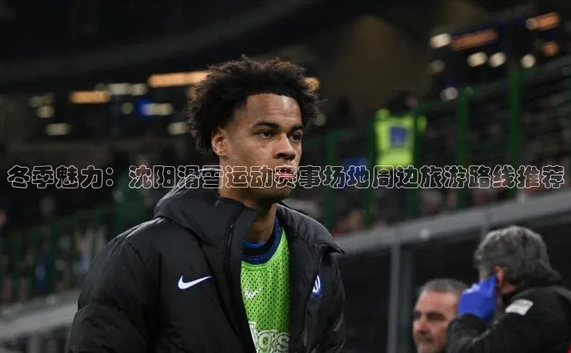 冬季魅力：沈阳滑雪运动赛事场地周边旅游路线推荐