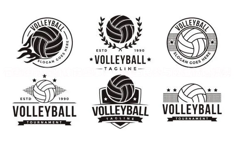 石家庄的最新体育盛事：一场全民参与的激情燃爆赛