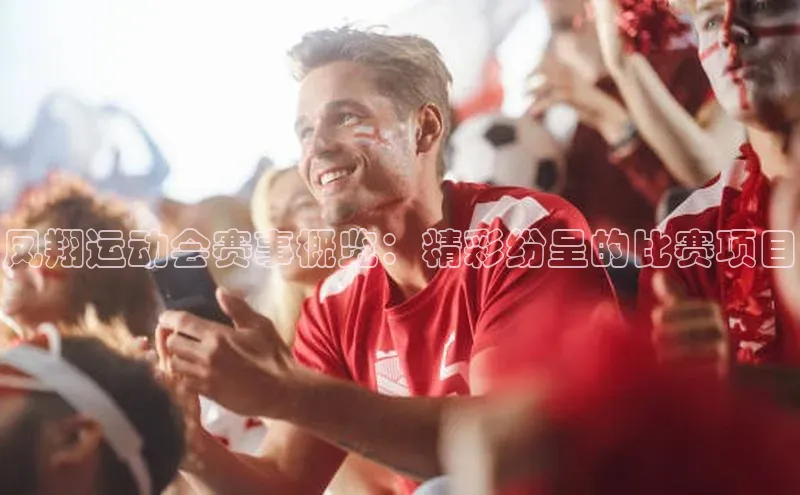 凤翔运动会赛事概览：精彩纷呈的比赛项目