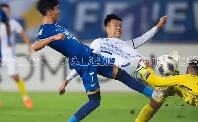 冰火激情：辽宁冰上运动赛事精彩回顾与展望