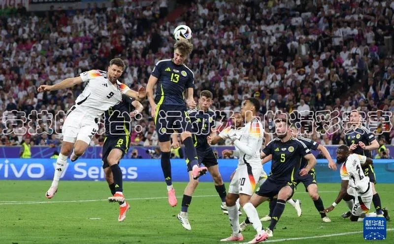 竞技的舞台：运动场上的精彩赛事