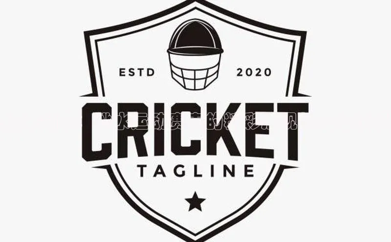 魅力简阳：跳水运动赛事的精彩展现与文化传承