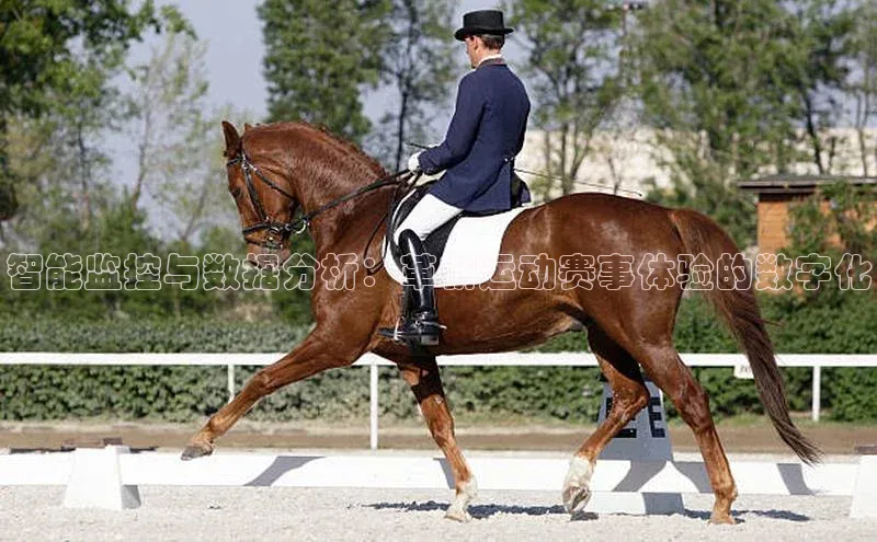 智能监控与数据分析：革新运动赛事体验的数字化