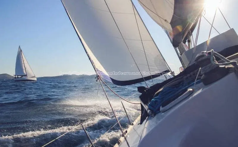 Sport:ThePulseofHumanEndeavorandGlobalDynamics