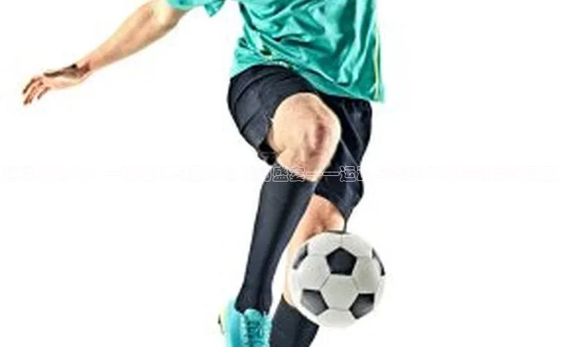 运动的魅力：一场竞技与团队合作的盛宴——运动会赛事中的精彩瞬间回顾