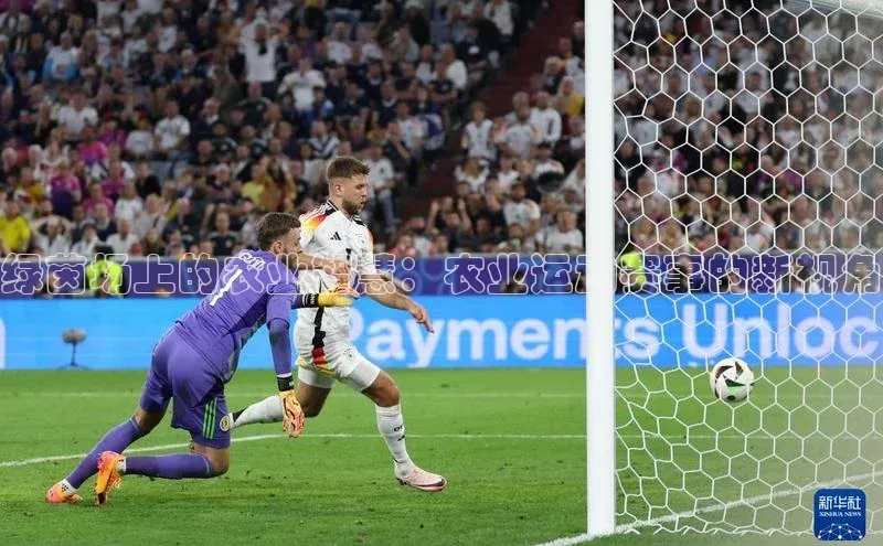 绿茵场上的农业智慧：农业运动赛事的新视角