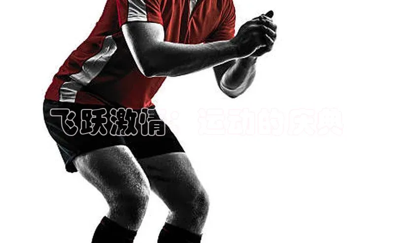 欧陆娱乐平台登录app